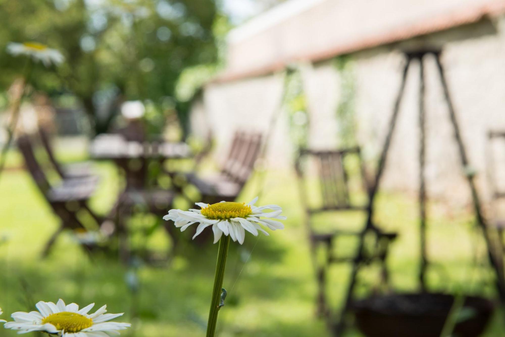 Hotel Au Bonheur Des Retrouvailles Denonville Zewnętrze zdjęcie